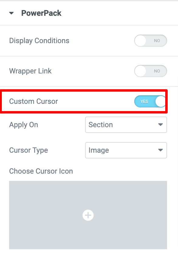 enable custom cursor feature 